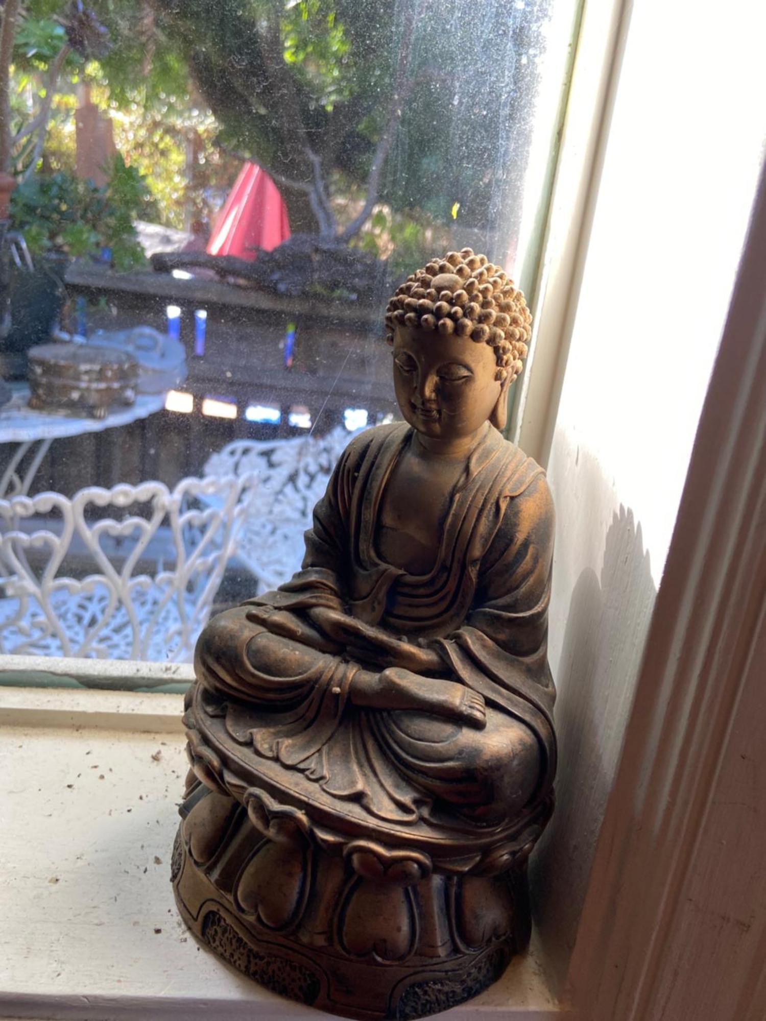1 Belvedere Ave Muir Woods Mt Tamalpais Bolinas Lagoon Stinson Beach Exterior foto